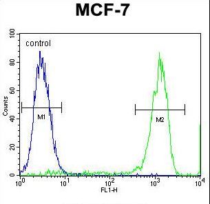 TMEM132E Antibody - TMEM132E Antibody flow cytometry of MCF-7 cells (right histogram) compared to a negative control cell (left histogram). FITC-conjugated goat-anti-rabbit secondary antibodies were used for the analysis.