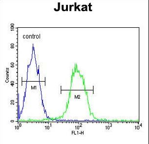 TMEM150A Antibody - T150A Antibody flow cytometry of Jurkat cells (right histogram) compared to a negative control cell (left histogram). FITC-conjugated goat-anti-rabbit secondary antibodies were used for the analysis.
