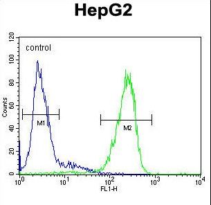 TMEM153 / LMF2 Antibody - LMF2 Antibody flow cytometry of HepG2 cells (right histogram) compared to a negative control cell (left histogram). FITC-conjugated goat-anti-rabbit secondary antibodies were used for the analysis.