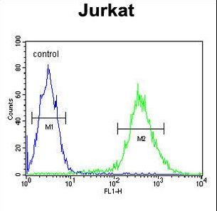 TMEM173 / STING Antibody - TM173 Antibody flow cytometry of Jurkat cells (right histogram) compared to a negative control cell (left histogram). FITC-conjugated goat-anti-rabbit secondary antibodies were used for the analysis.