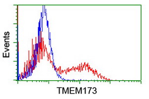 TMEM173 / STING Antibody - HEK293T cells transfected with either overexpress plasmid (Red) or empty vector control plasmid (Blue) were immunostained by anti-TMEM173 antibody, and then analyzed by flow cytometry.