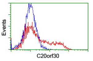 TMEM230 Antibody - HEK293T cells transfected with either overexpress plasmid (Red) or empty vector control plasmid (Blue) were immunostained by anti-C20orf30 antibody, and then analyzed by flow cytometry.