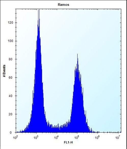 TMEM55B Antibody - TM55B Antibody flow cytometry of Ramos cells (right histogram) compared to a negative control cell (left histogram). FITC-conjugated donkey-anti-rabbit secondary antibodies were used for the analysis.