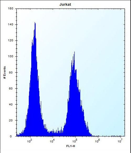 TMPRSS15 / Enterokinase Antibody - PRSS7 Antibody (C-term E979) flow cytometry of Jurkat cells (right histogram) compared to a negative control cell (left histogram). FITC-conjugated donkey-anti-rabbit secondary antibodies were used for the analysis.