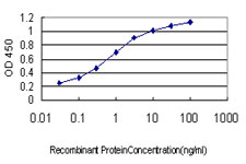 TMPRSS15 / Enterokinase Antibody - Detection limit for recombinant GST tagged PRSS7 is approximately 0.03 ng/ml as a capture antibody.