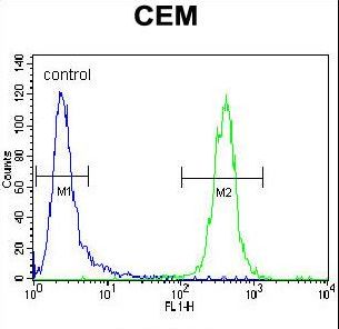 TNF Alpha Antibody - TNF Antibody flow cytometry of CEM cells (right histogram) compared to a negative control cell (left histogram). FITC-conjugated goat-anti-rabbit secondary antibodies were used for the analysis.