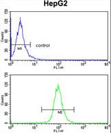 TNFAIP2 Antibody - TNFAIP2 Antibody flow cytometry of HepG2 cells (bottom histogram) compared to a negative control cell (top histogram). FITC-conjugated goat-anti-rabbit secondary antibodies were used for the analysis.