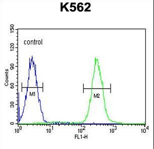 TNFAIP8 / SCC-S2 Antibody - TNFAIP8 Antibody flow cytometry of K562 cells (right histogram) compared to a negative control cell (left histogram). FITC-conjugated goat-anti-rabbit secondary antibodies were used for the analysis.