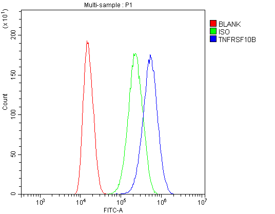 TNFRSF10B / Killer / DR5 Antibody - Flow Cytometry analysis of U87 cells using anti-DR5 antibody. Overlay histogram showing U87 cells stained with anti-DR5 antibody (Blue line). The cells were blocked with 10% normal goat serum. And then incubated with rabbit anti-DR5 Antibody (1µg/10E6 cells) for 30 min at 20°C. DyLight®488 conjugated goat anti-rabbit IgG (5-10µg/10E6 cells) was used as secondary antibody for 30 minutes at 20°C. Isotype control antibody (Green line) was rabbit IgG (1µg/10E6 cells) used under the same conditions. Unlabelled sample (Red line) was also used as a control.