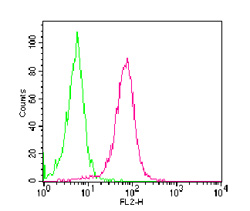 TNFRSF11A / RANK Antibody - Intracellular flow analysis of RANK in RAW cells using 0.5 ug of RANK antibody. Green histogram represents isotype control antibody, ; red represents RANK antibody. This image was taken for the unconjugated form of this product. Other forms have not been tested.