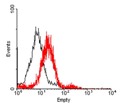 TNFRSF11A / RANK Antibody - FACS: RANK transfected HEK 293 cells were stained significantly using anti-RANK (human), pAb .