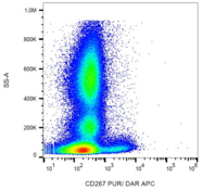 TNFRSF13B / TACI Antibody - Surface staining of human peripheral blood with anti-human CD267 (1A1) purified, DAR-APC.