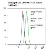 TNFRSF14 / CD270 / HVEM Antibody - Flow cytometry of CD270 / TNFRSF14 / HVEM antibody This image was taken for the unconjugated form of this product. Other forms have not been tested.