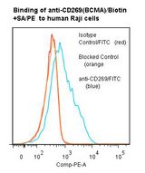 TNFRSF17 / BCMA Antibody - Flow cytometry of TNFRSF17 / BCMA antibody This image was taken for the unconjugated form of this product. Other forms have not been tested.