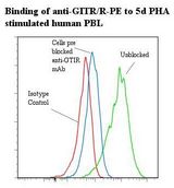 TNFRSF18 / GITR Antibody - Flow cytometry of TNFRSF18 / GITR antibody This image was taken for the unconjugated form of this product. Other forms have not been tested.