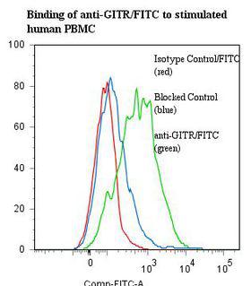 TNFRSF18 / GITR Antibody - Flow cytometry of TNFRSF18 / GITR antibody This image was taken for the unconjugated form of this product. Other forms have not been tested.