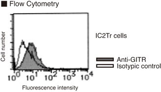 TNFRSF18 / GITR Antibody
