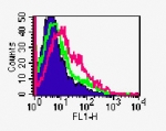 TNFRSF18 / GITR Antibody - Flow analysis of GITR in C57 mouse splenocytes using 0.1 ug of antibody. Shaded histogram represents cells without antibody; green represents isotype control; red represents anti-GITR antibody.  This image was taken for the unconjugated form of this product. Other forms have not been tested.