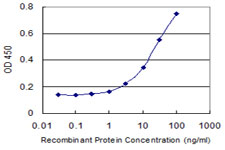 TNFRSF19 / TROY Antibody - Detection limit for recombinant GST tagged TNFRSF19 is 1 ng/ml as a capture antibody.