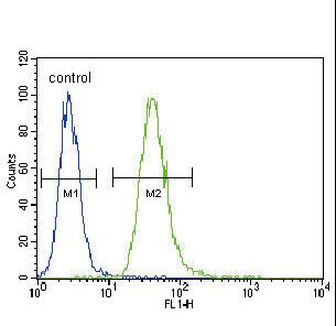TNFRSF1A / TNFR1 Antibody - TNFR-S274 Antibody flow cytometry of A549 cells (right histogram) compared to a negative control cell (left histogram). FITC-conjugated goat-anti-rabbit secondary antibodies were used for the analysis.