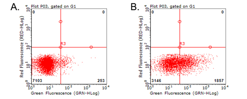 TNFRSF4 / CD134 / OX40 Antibody - Flow cytometric analysis of living PBMCs treated with 10ug/ml PHA for 72h. (Right)/untreated. (Left) using anti-TNFRSF4 antibody. (1:100)