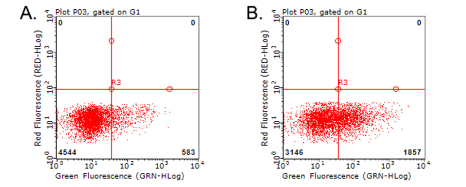 TNFRSF4 / CD134 / OX40 Antibody - Flow cytometric analysis of living PBMCs treated with 10ug/ml PHA for 72h. (Right) using anti-TNFRSF4 antibody. Cells incubated with a non-specific antibody. (Left) were used as isotype control. (1:100)