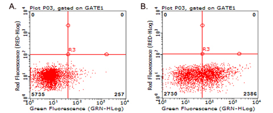 TNFRSF4 / CD134 / OX40 Antibody - Flow cytometric analysis of living PBMCs treated with 10ug/ml PHA for 72h. (Right)/untreated. (Left) using anti-TNFRSF4 antibody. (1:100)