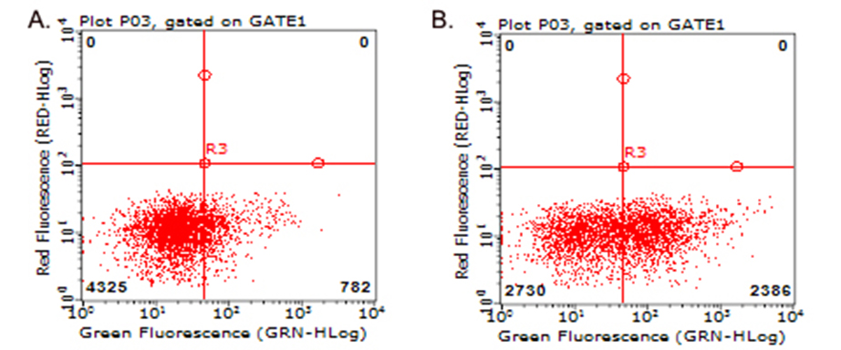 TNFRSF4 / CD134 / OX40 Antibody - Flow cytometric analysis of living PBMCs treated with 10ug/ml PHA for 72h. (Right) using anti-TNFRSF4 antibody. Cells incubated with a non-specific antibody. (Left) were used as isotype control. (1:100)