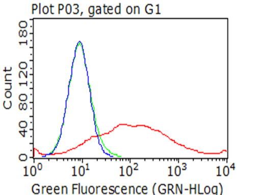 TNFRSF4 / CD134 / OX40 Antibody - Flow cytometric analysis of living 293T cells transfected with TNFRSF4 overexpression plasmid , Red)/empty vector  Blue) using anti-TNFRSF4 antibody. Cells incubated with a non-specific antibody. (Green) were used as isotype control. (1;100)