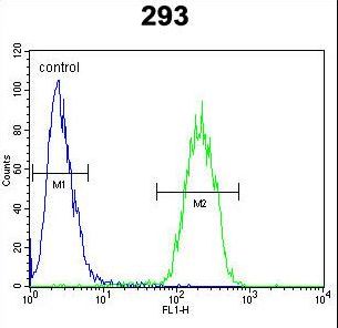 TNFRSF6B / DCR3 Antibody - TNFRSF6B Antibody flow cytometry of 293 cells (right histogram) compared to a negative control cell (left histogram). FITC-conjugated goat-anti-rabbit secondary antibodies were used for the analysis.