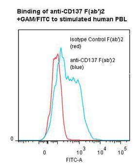 TNFRSF9 / 4-1BB / CD137 Antibody - Flow cytometry of TNFRSF9 / 4-1BB / CD137 antibody This image was taken for the unmodified form of this product. Other forms have not been tested.