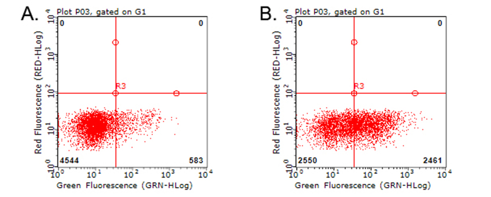 TNFRSF9 / 4-1BB / CD137 Antibody - Flow cytometric analysis of living PBMCs treated with 10ug/ml PHA for 72h. (Right) using anti-TNFRSF9 antibody. Cells incubated with a non-specific antibody. (Left) were used as isotype control. (1:100)