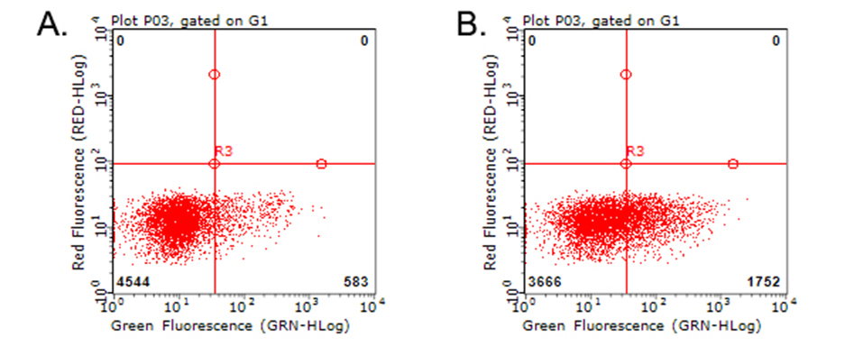 TNFRSF9 / 4-1BB / CD137 Antibody - Flow cytometric analysis of living PBMCs treated with 10ug/ml PHA for 72h. (Right) using anti-TNFRSF9 antibody. Cells incubated with a non-specific antibody. (Left) were used as isotype control. (1:100)