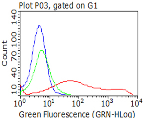 TNFRSF9 / 4-1BB / CD137 Antibody - Flow cytometric analysis of living 293T cells transfected with TNFRSF9 overexpression plasmid , Red)/empty vector  Blue) using anti-TNFRSF9 antibody. Cells incubated with a non-specific antibody. (Green) were used as isotype control. (1:100)