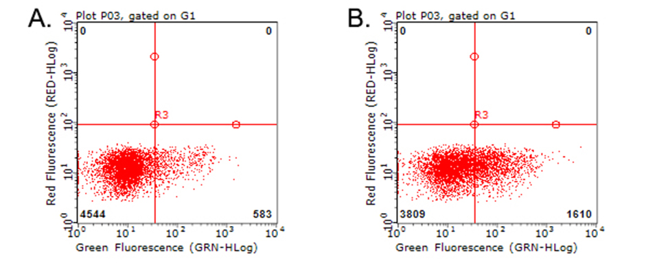 TNFRSF9 / 4-1BB / CD137 Antibody - Flow cytometric analysis of living PBMCs treated with 10ug/ml PHA for 72h. (Right) using anti-TNFRSF9 antibody. Cells incubated with a non-specific antibody. (Left) were used as isotype control. (1:100)