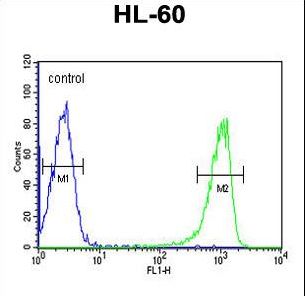 TNFSF11 / RANKL / TRANCE Antibody - TNFSF11 Antibody flow cytometry of HL-60 cells (right histogram) compared to a negative control cell (left histogram). FITC-conjugated goat-anti-rabbit secondary antibodies were used for the analysis.