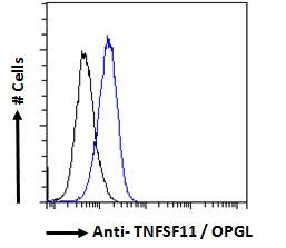 TNFSF11 / RANKL / TRANCE Antibody - Flow cytometric analysis of paraformaldehyde fixed MCF7 cells (blue line), permeabilized with 0.5% Triton. Primary incubation overnight (10ug/ml) followed by Alexa Fluor 488 secondary antibody (1ug/ml). IgG control: Unimmunized goat IgG (black line) followed by Alexa Fluor 488 secondary antibody.
