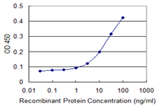 TNFSF13 / APRIL Antibody - Detection limit for recombinant GST tagged TNFSF13 is 1 ng/ml as a capture antibody.