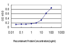TNFSF14 / LIGHT Antibody - Detection limit for recombinant GST tagged TNFSF14 is approximately 1 ng/ml as a capture antibody.