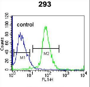 TNFSF15 / TL1A / VEGI Antibody - TNFSF15 Antibody flow cytometry of 293 cells (right histogram) compared to a negative control cell (left histogram). FITC-conjugated goat-anti-rabbit secondary antibodies were used for the analysis.