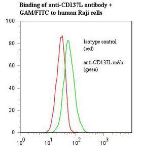 TNFSF9 / CD137L Antibody - Flow cytometry of TNFSF9 / CD137L antibody This image was taken for the unmodified form of this product. Other forms have not been tested.