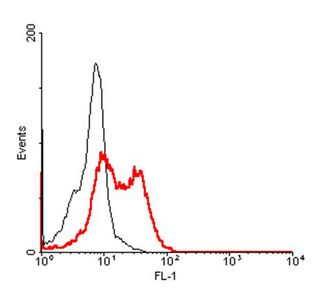 TNFSF9 / CD137L Antibody - FACS: Human CD137L-transfected HEK 293 cells were stained significantly using anti-CD137L (human), mAb (41B436). No binding was detected on empty vector transfected cells.