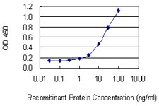 TNR / Tenascin R Antibody - Detection limit for recombinant GST tagged TNR is 0.3 ng/ml as a capture antibody.