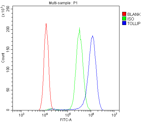 TOLLIP Antibody - Flow Cytometry analysis of SiHa cells using anti-Tollip antibody. Overlay histogram showing SiHa cells stained with anti-Tollip antibody (Blue line). The cells were blocked with 10% normal goat serum. And then incubated with rabbit anti-Tollip Antibody (1µg/10E6 cells) for 30 min at 20°C. DyLight®488 conjugated goat anti-rabbit IgG (5-10µg/10E6 cells) was used as secondary antibody for 30 minutes at 20°C. Isotype control antibody (Green line) was rabbit IgG (1µg/10E6 cells) used under the same conditions. Unlabelled sample (Red line) was also used as a control.