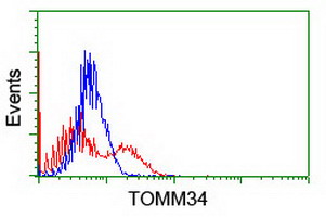 TOMM34 Antibody - HEK293T cells transfected with either overexpress plasmid (Red) or empty vector control plasmid (Blue) were immunostained by anti-TOMM34 antibody, and then analyzed by flow cytometry.