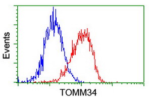 TOMM34 Antibody - Flow cytometry of HeLa cells, using anti-TOMM34 antibody (Red), compared to a nonspecific negative control antibody (Blue).