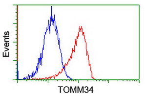 TOMM34 Antibody - Flow cytometry of Jurkat cells, using anti-TOMM34 antibody (Red), compared to a nonspecific negative control antibody (Blue).