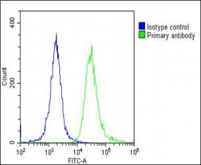 TOMM40 / TOM40 Antibody - Overlay histogram showing HeLa cells stained with TOMM40 Antibody (N-Term) (green line). The cells were fixed with 2% paraformaldehyde (10 min) and then permeabilized with 90% methanol for 10 min. The cells were then icubated in 2% bovine serum albumin to block non-specific protein-protein interactions followed by the antibody (TOMM40 Antibody (N-Term), 1:25 dilution) for 60 min at 37°C. The secondary antibody used was Goat-Anti-Rabbit IgG, DyLight® 488 Conjugated Highly Cross-Adsorbed (1583138) at 1/200 dilution for 40 min at 37°C. Isotype control antibody (blue line) was rabbit IgG1 (1µg/1x10^6 cells) used under the same conditions. Acquisition of >10, 000 events was performed.