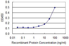 TP53 / p53 Antibody - Detection limit for recombinant GST tagged TP53 is approximately 3 ng/ml as a capture antibody.