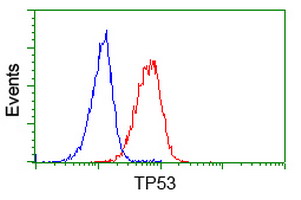 TP53 / p53 Antibody - Flow cytometry of Jurkat cells, using anti-TP53 antibody (Red), compared to a nonspecific negative control antibody (Blue).